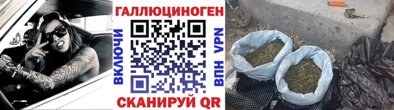 Галлюциногенные грибы Cubensis  магазин продажи наркотиков  гидра ССЫЛКА  Щучье 
